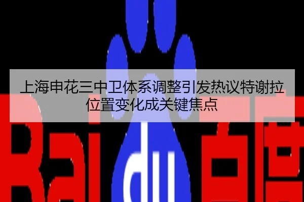 上海申花三中卫体系调整引发热议特谢拉位置变化成关键焦点