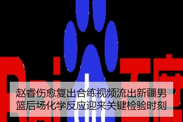 赵睿伤愈复出合练视频流出新疆男篮后场化学反应迎来关键检验时刻